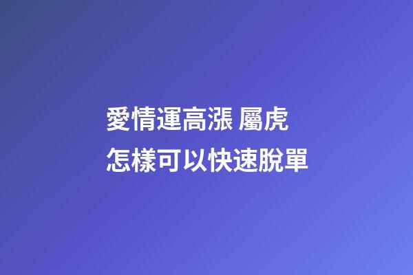 愛情運高漲 屬虎怎樣可以快速脫單